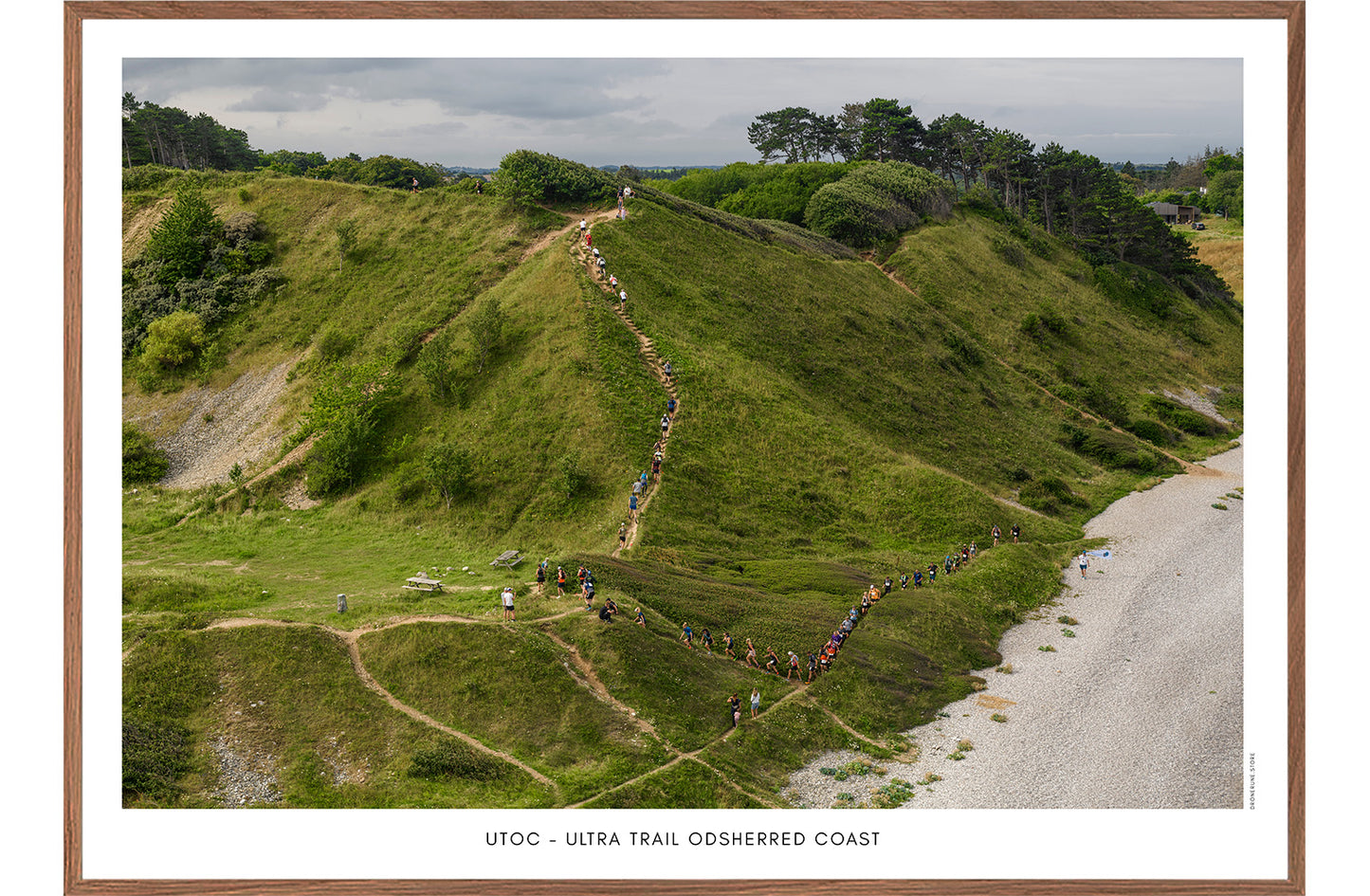 UTOC - ULTRA TRAIL ODSHERRED COAST