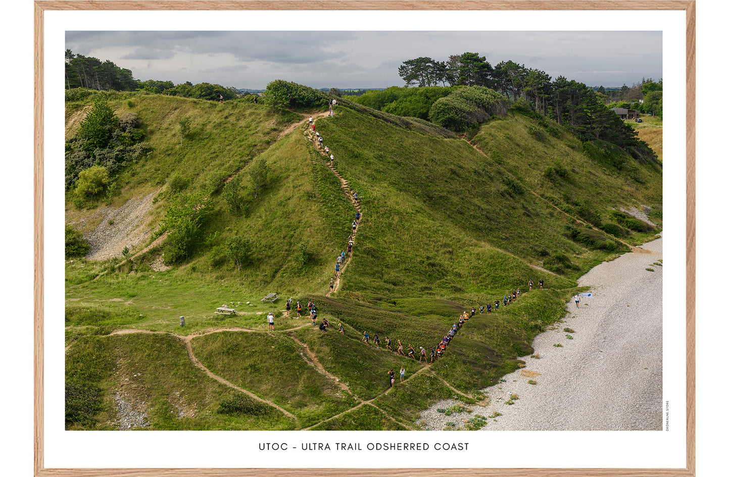 UTOC - ULTRA TRAIL ODSHERRED COAST