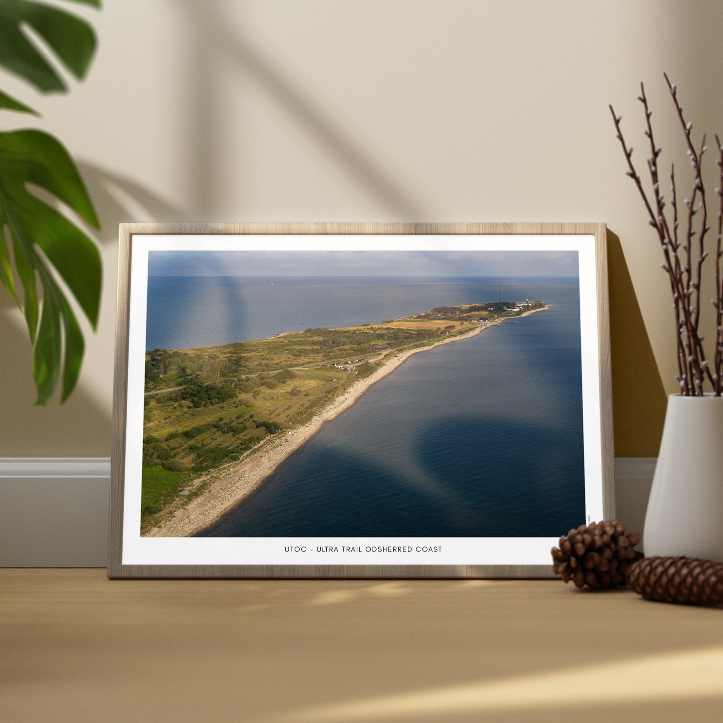 UTOC - ULTRA TRAIL ODSHERRED COAST II