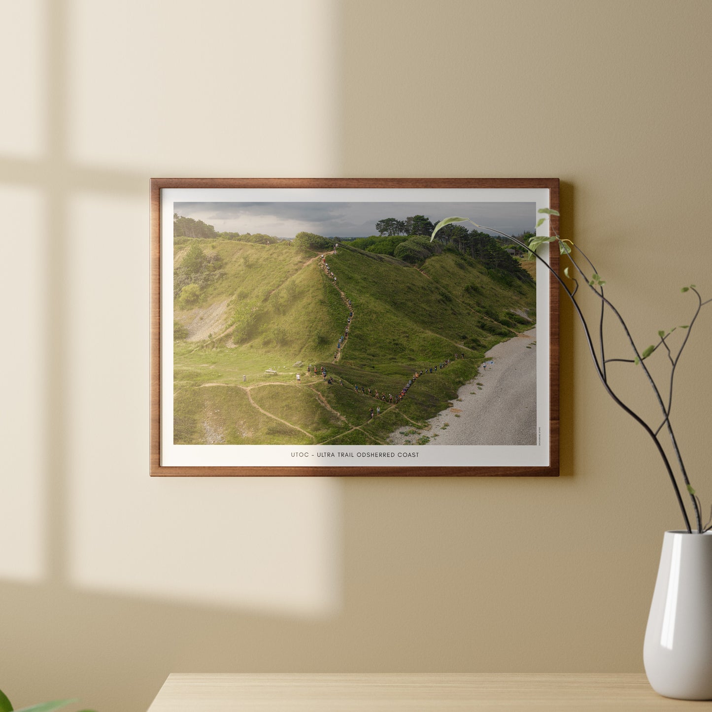 UTOC - ULTRA TRAIL ODSHERRED COAST