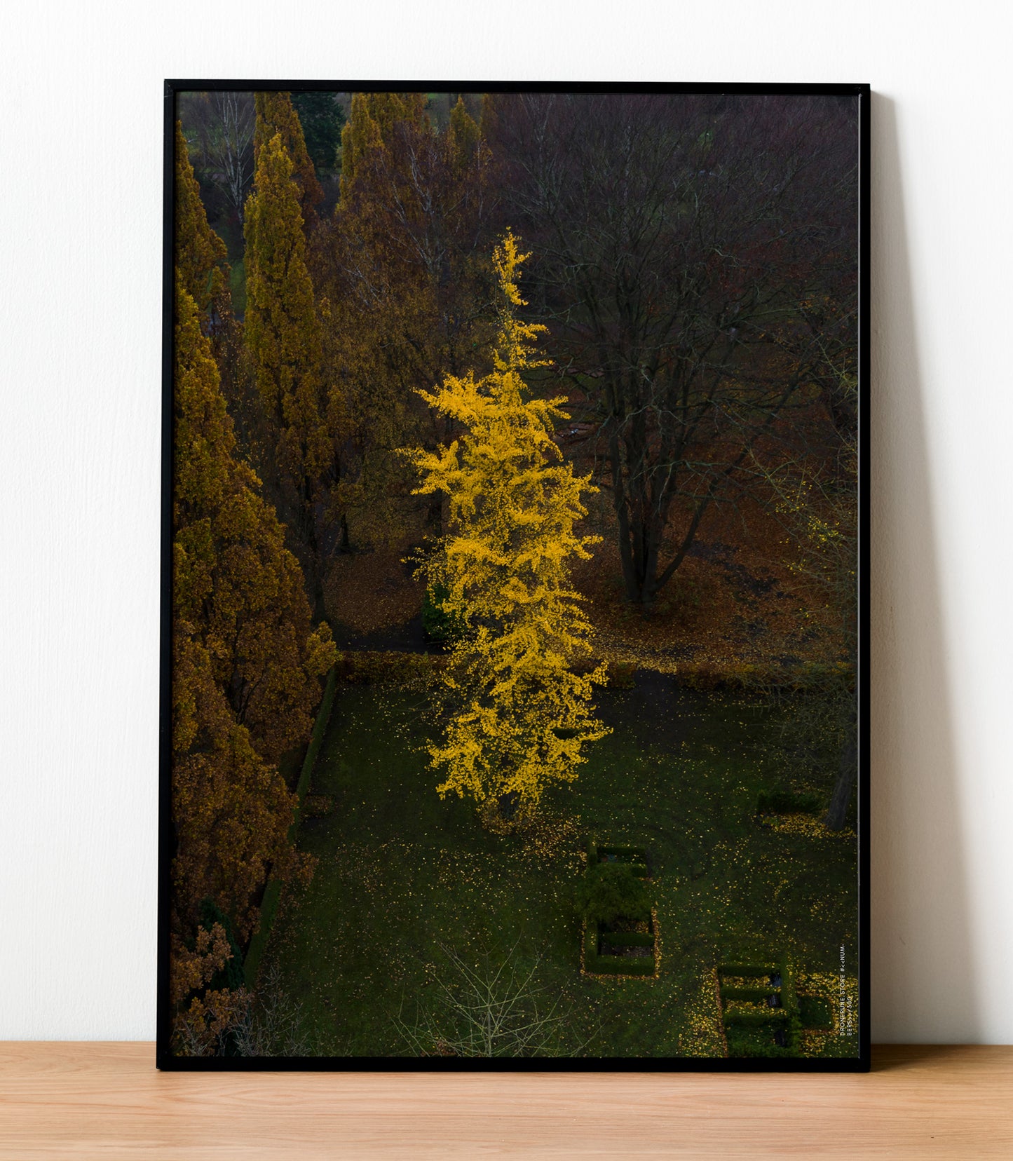 Bispebjerg Kirkegård I