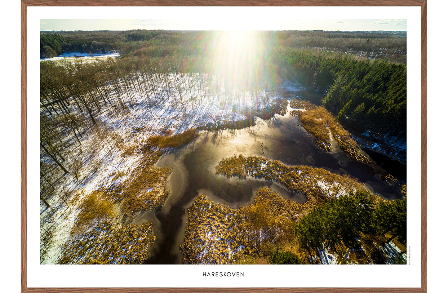 Hareskoven 5