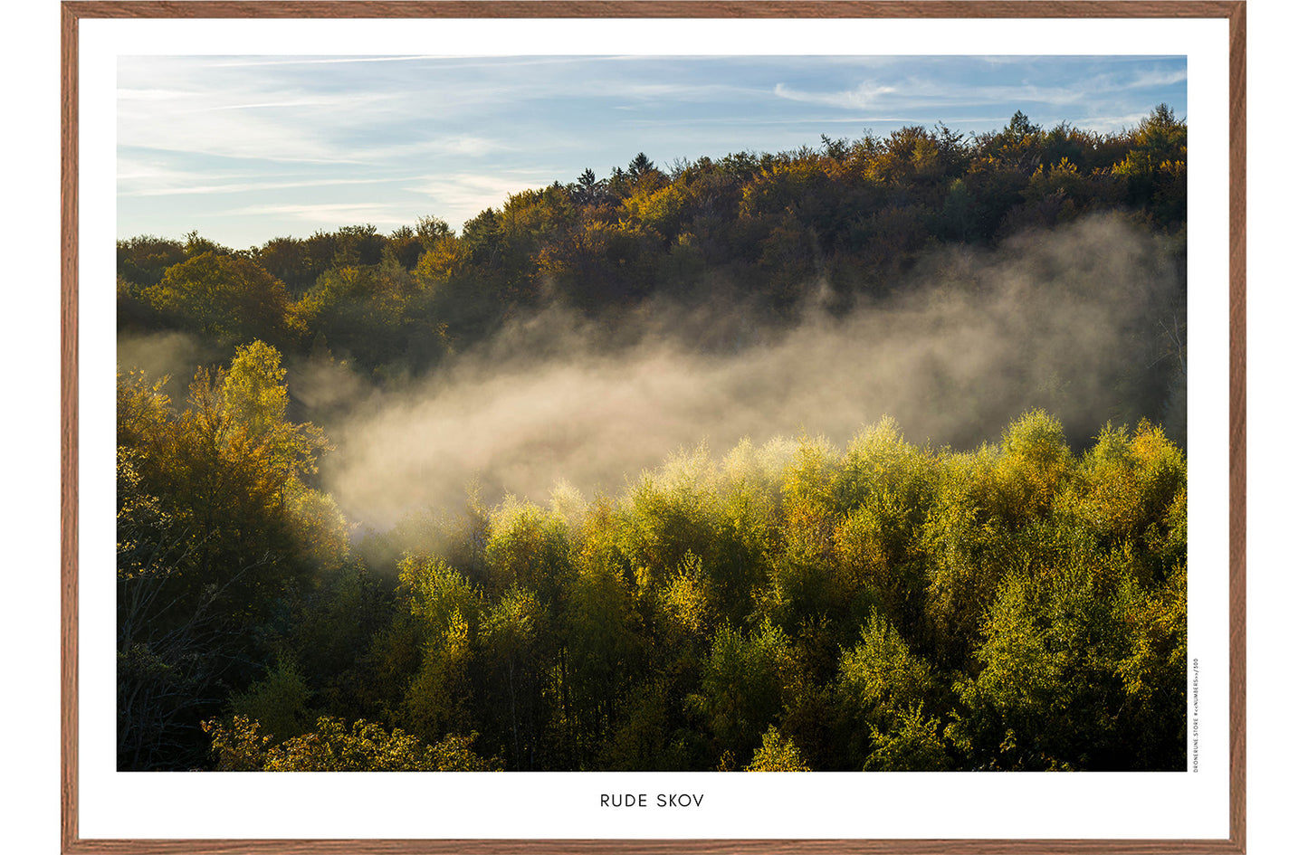 Rude Skov III