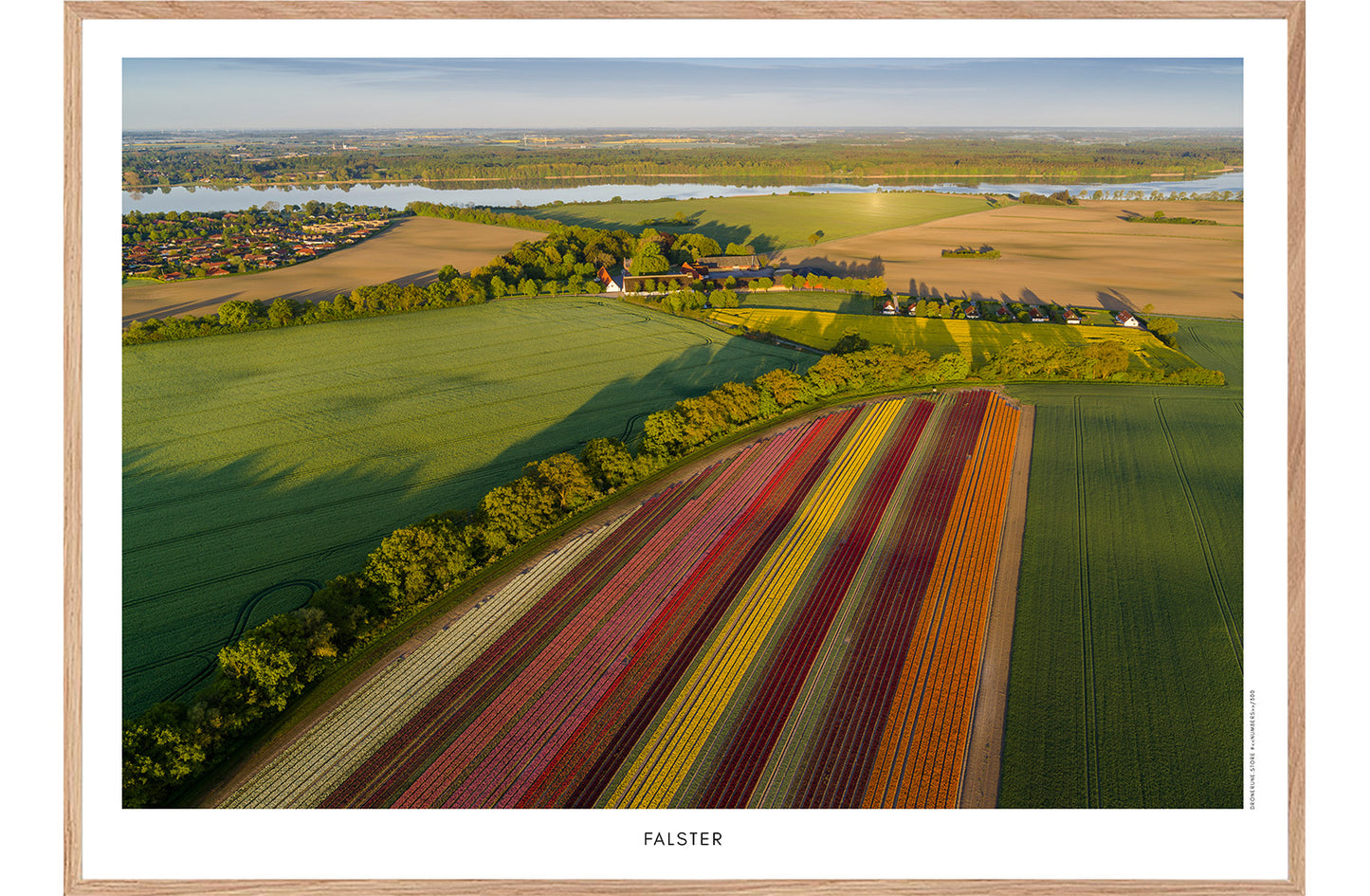 Falster 4
