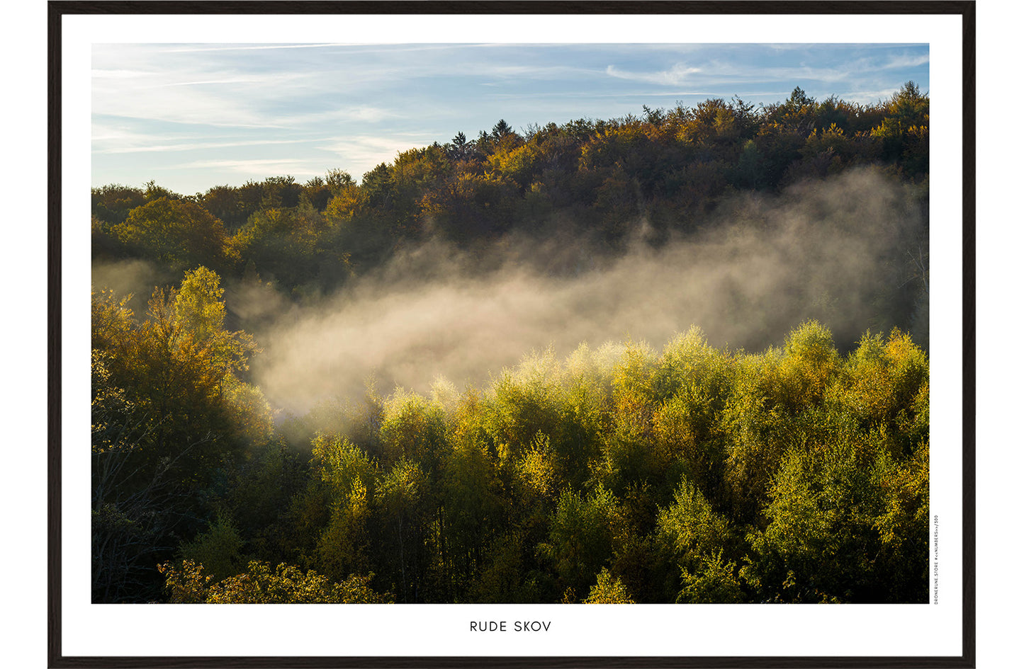 Rude Skov III