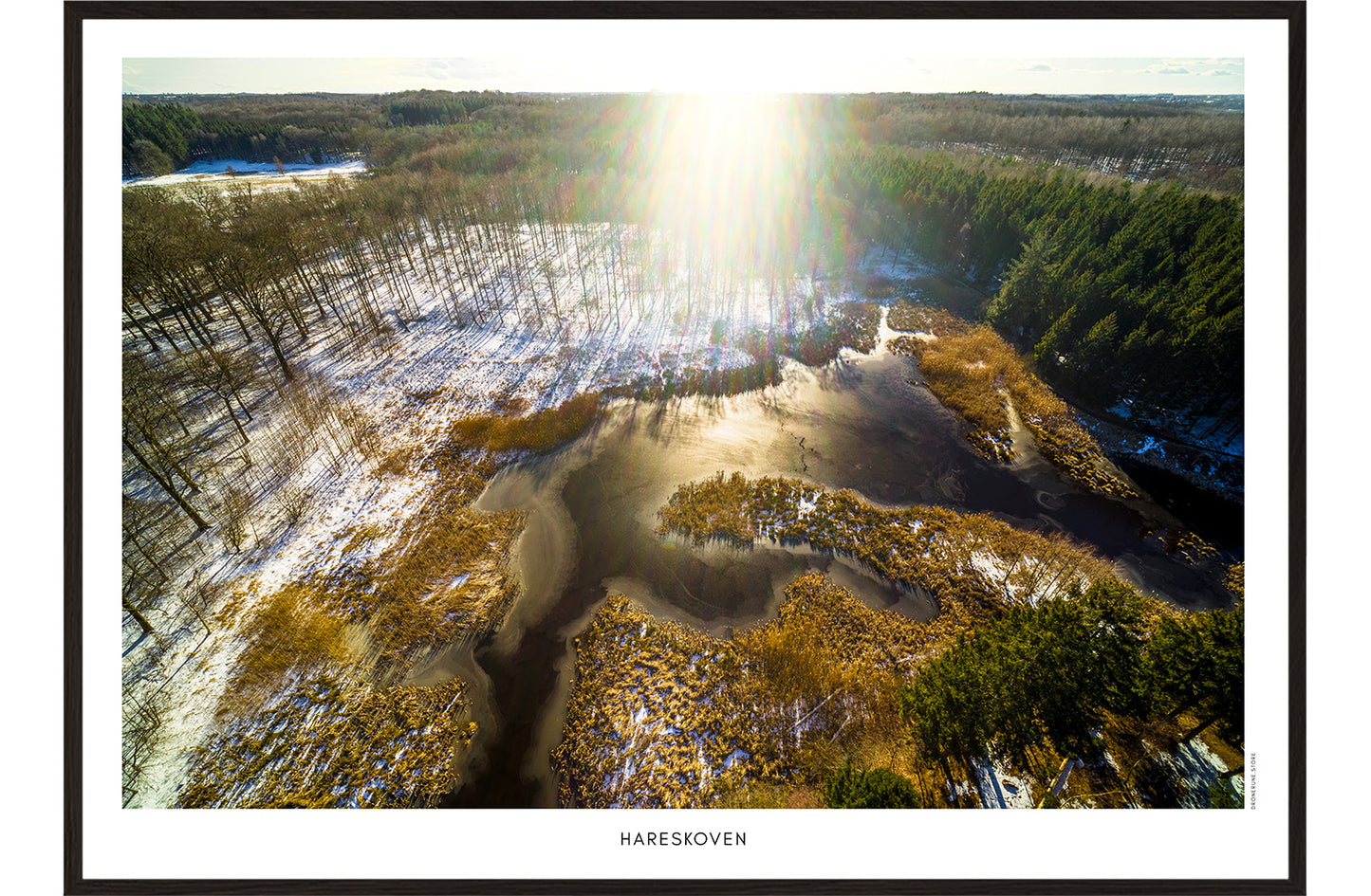 Hareskoven 5