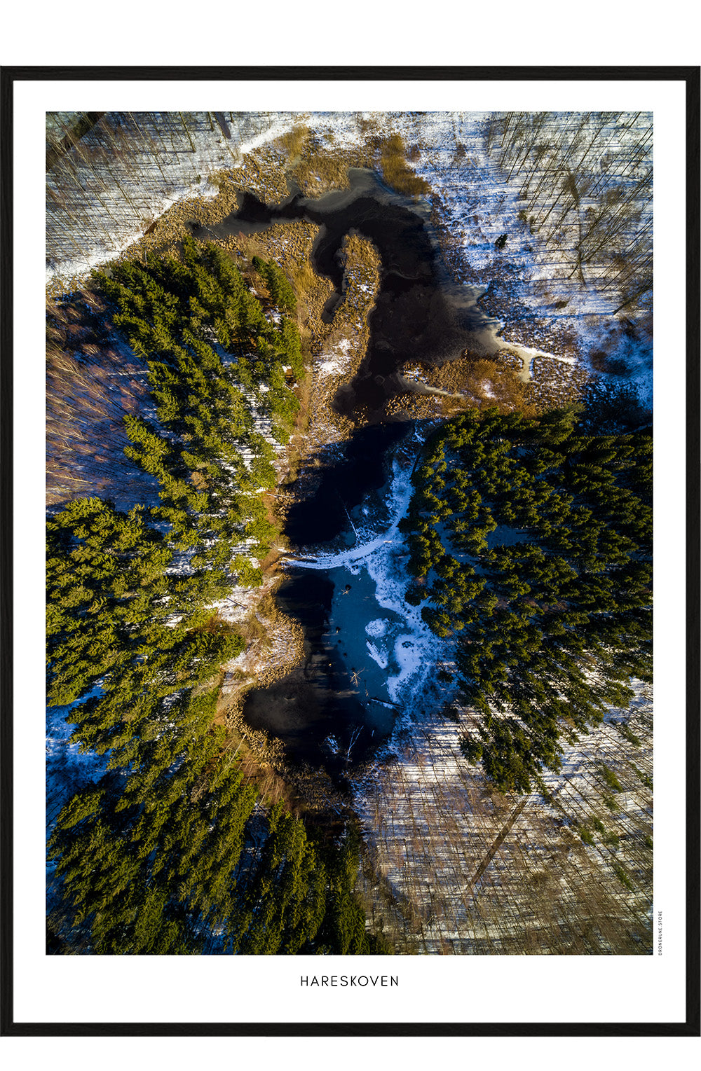 Hareskoven 1