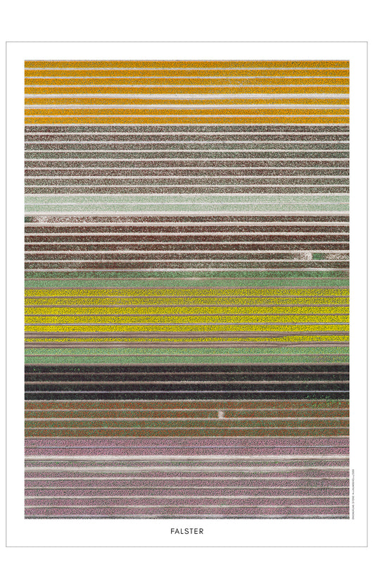 Falster 15
