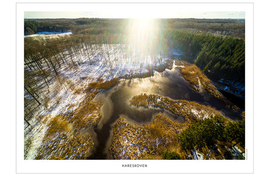 Hareskoven 5