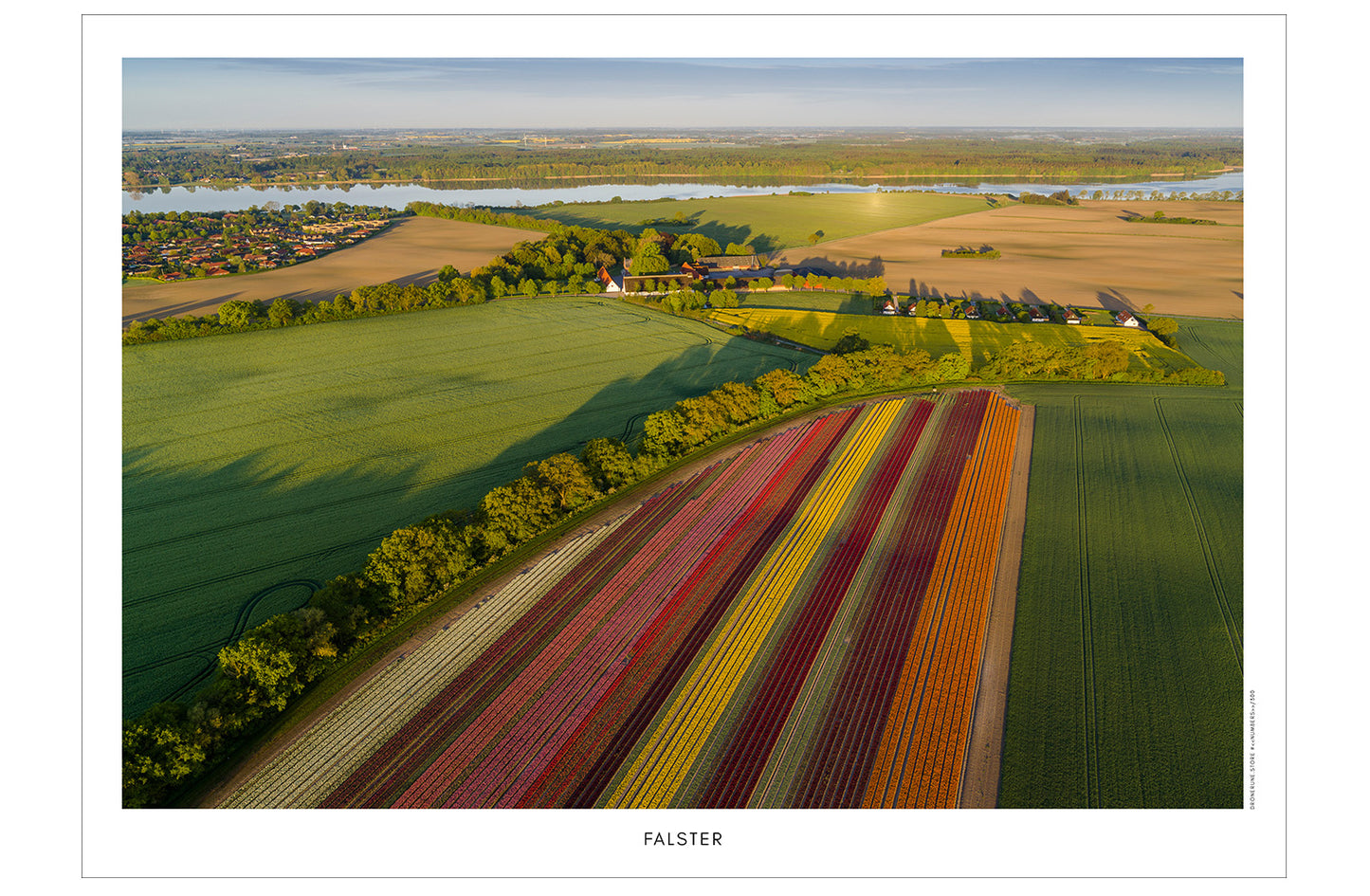 Falster 4