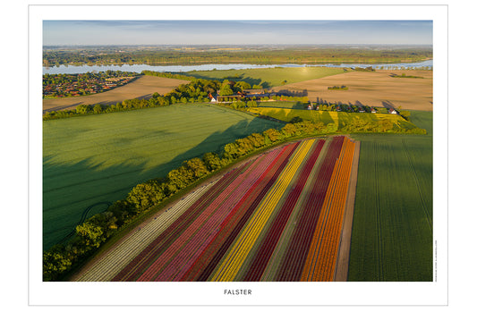 Falster 4