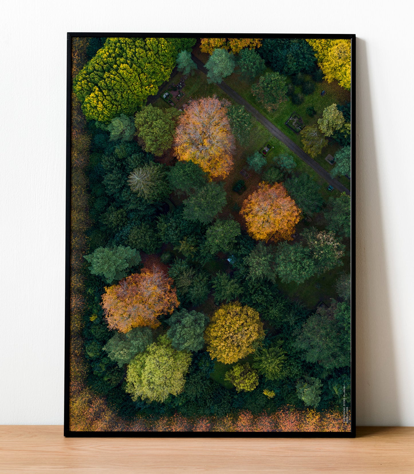 Vestre Kirkegård III