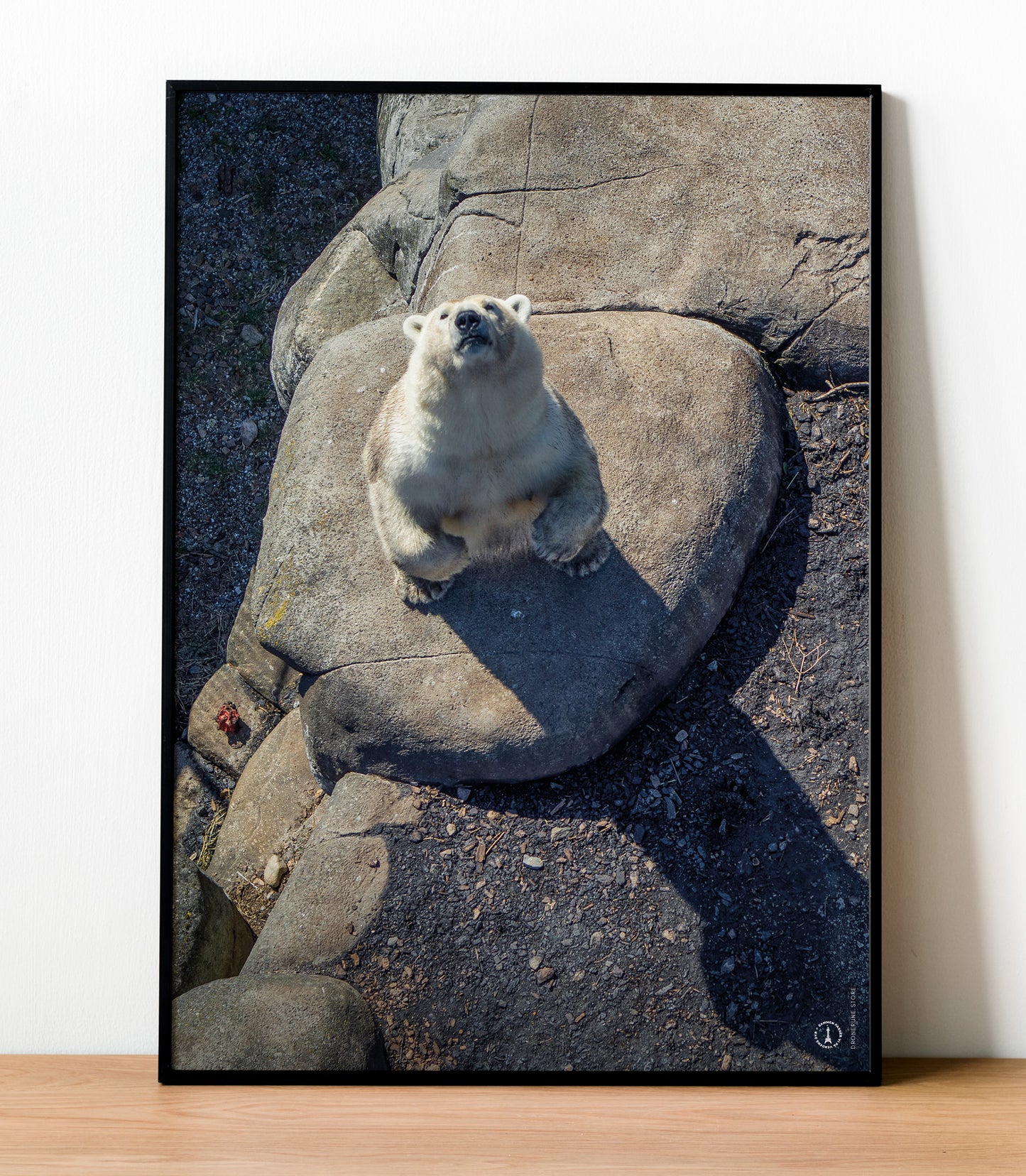 Zoologisk Have København