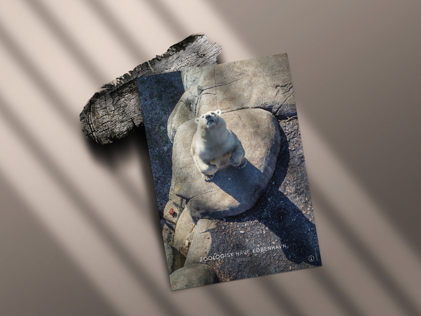 Zoologisk Have København