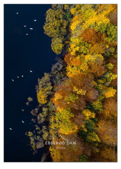 Ebberød Dam - dronefoto plakat fra DroneRune