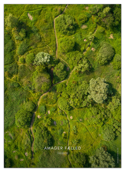 Amager Fælled - dronefoto plakat fra DroneRune